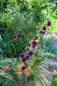 Couleurs estivales, Le Presbytere