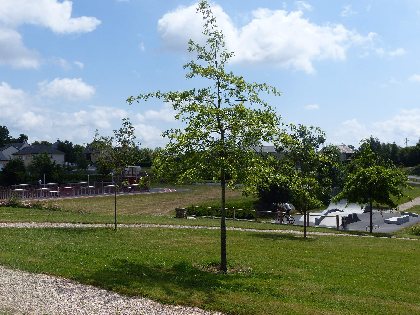 La Plaine des sports à Réquista, OFFICE DE TOURISME DU REQUISTANAIS