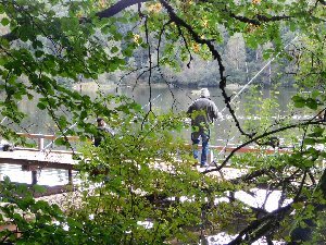 Lac de la Gourde, OFFICE DE TOURISME DE PARELOUP LEVEZOU