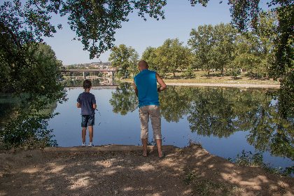 Le Tarn à Millau, Fédération de pêche de l'Aveyron