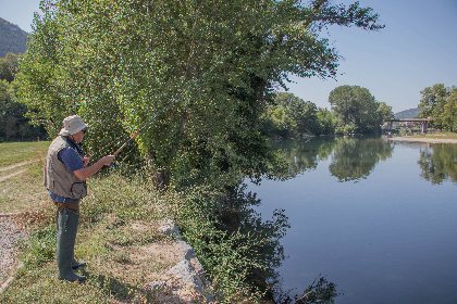 Le Tarn à Millau, Fédération de pêche de l'Aveyron
