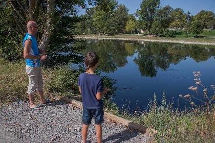 Le Tarn à Millau, Fédération de pêche de l'Aveyron