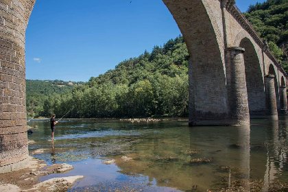 Le Tarn au pont des Hirondelles ou pont de Girbes (lâchers de truites), OFFICE DE TOURISME DU REQUISTANAIS