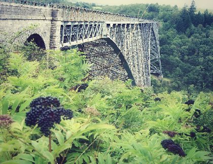 Viaduc du Viaur - vue depuis l'aire Paul Bodin, OFFICE DE TOURISME PAYS SEGALI