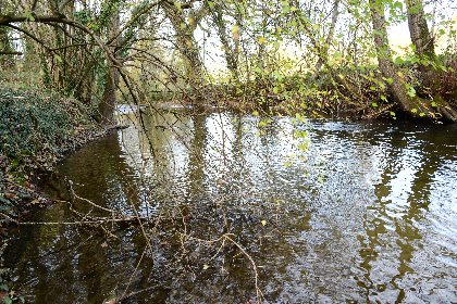 La Diège proche de Capdenac-Gare, Fédération de pêche de l'Aveyron
