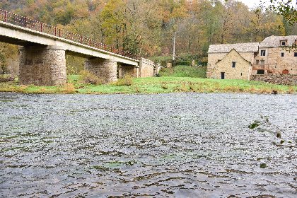 L'Aveyron à Ayssens, Fédération de pêche de l'Aveyron