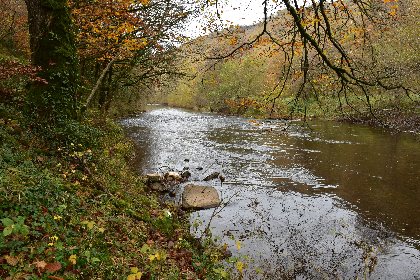 L'Aveyron à Ayssens, Fédération de pêche de l'Aveyron