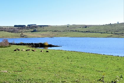 Lac des Chèvres, Fédération de pêche de l'Aveyron