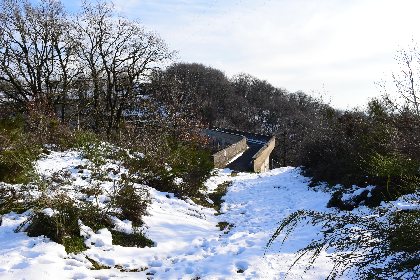 Barrage de Saint Amans, Fédération de pêche de l'Aveyron