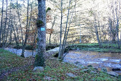 Pêche - Le Viaur à Versailles, Fédération de pêche de l'Aveyron