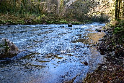 L'Aveyron au Pont de Vézis, Fédération de pêche de l'Aveyron