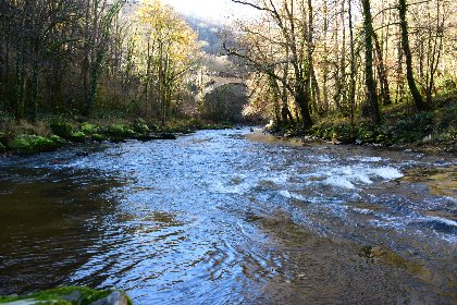 L'Aveyron au Pont de Vézis, Fédération de pêche de l'Aveyron