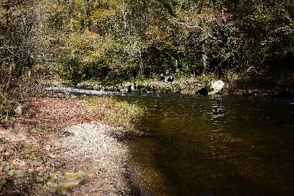 L'Aveyron site du Gourgassier, Fédération de pêche de l'Aveyron