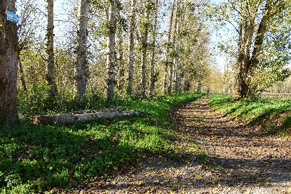 L'Aveyron la plaine du Pesquié, Fédération de pêche de l'Aveyron
