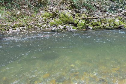 Le Rance à Plaisance, Fédération de pêche de l'Aveyron