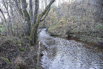 Le Ruols no kill truite, Fédération de pêche de l'Aveyron