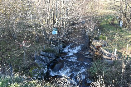 Le Ruols no kill truite, Fédération de pêche de l'Aveyron