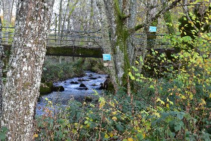 L'Argence vive no kill truite , Fédération de pêche de l'Aveyron