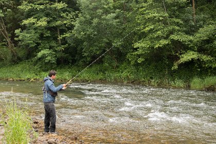 Le Lot amont de St Geniez-d'Olt à St Laurent-d'Olt no kill, Fédération de pêche de l'Aveyron