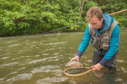 Le Lot amont de St Geniez-d'Olt à St Laurent-d'Olt no kill, Fédération de pêche de l'Aveyron