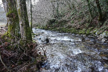 Le Mardonenque (no kill truite), Fédération de pêche de l'Aveyron