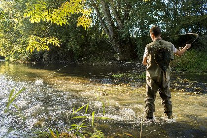 L'Aveyron à Laissac pont d'Ampiac (no kill truite) , Fédération de pêche de l'Aveyron
