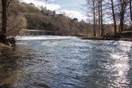 L'Aveyron à Rodez (no kill truite)  , Fédération de pêche de l'Aveyron