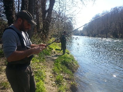 Le Tarn de Millau à Saint-Rome-de-Tarn (parcours 1 truite par jour par pêcheur), Fédération de pêche de l'Aveyron