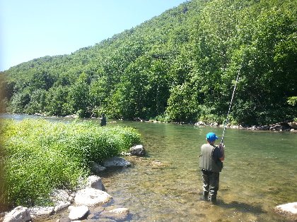 Le Tarn de Millau à Saint-Rome-de-Tarn (parcours 1 truite par jour par pêcheur), Fédération de pêche de l'Aveyron