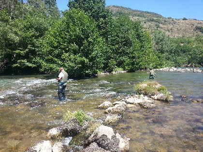 Le Tarn de Millau à Saint-Rome-de-Tarn (parcours 1 truite par jour par pêcheur), Fédération de pêche de l'Aveyron
