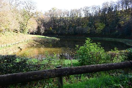 Etang des fargues (lâchers de truites- payant)  , Fédération de pêche de l'Aveyron