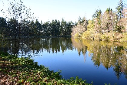 Plan d'eau de la Calquière à Rieupeyroux (lâchers de truites- payant) , Fédération de pêche de l'Aveyron