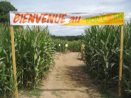 Pop Corn labyrinthe, OFFICE DE TOURISME DE PARELOUP LEVEZOU