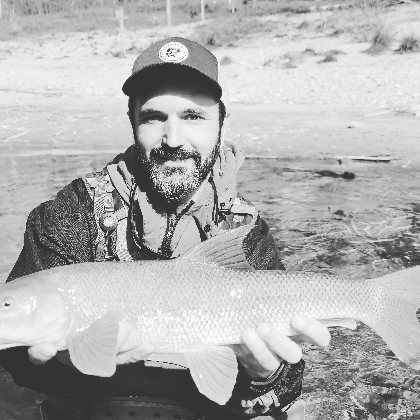 L'O à la Mouche, L'O à la mouche