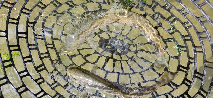 L'O à la Mouche, L'O à la mouche