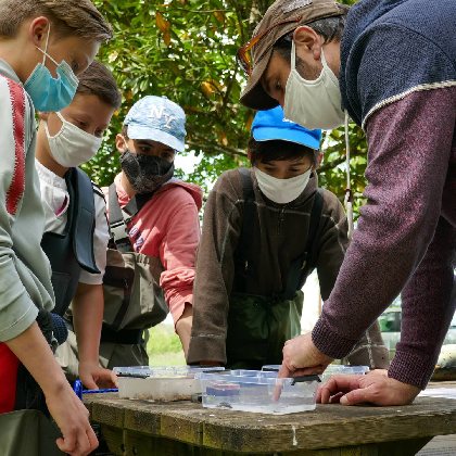 L'O à la Mouche, L'O à la mouche