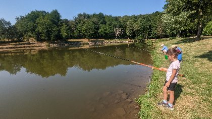 L'O à la Mouche, L'O à la mouche
