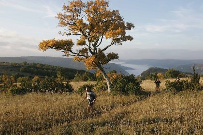 Millau Espace Trail, OFFICE DE TOURISME DE MILLAU