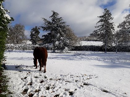 Parc, Ancienne bergerie du Viala