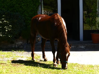 Ancienne bergerie du Viala, Ancienne bergerie du Viala