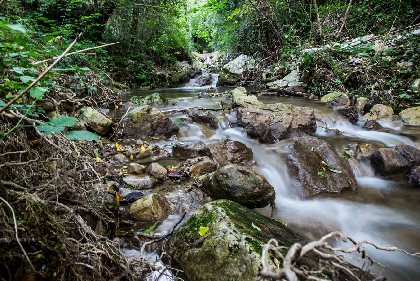 Le Cirque de St-Paul des Fonts, © Greg Alric - OT LV