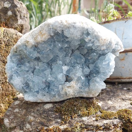 Evidences, Evidences