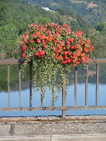 Le pont de Livinhac avec ses jardinières de fleurs, propriétaire