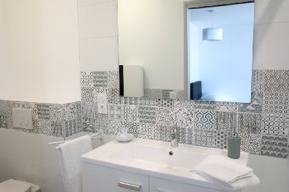 salle de bain privative douche lavabo wc, propriétaire