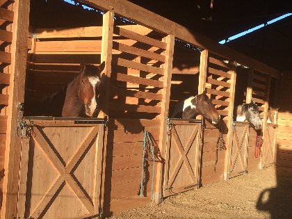 Ranch du Lévézou, OFFICE DE TOURISME DE PARELOUP LEVEZOU