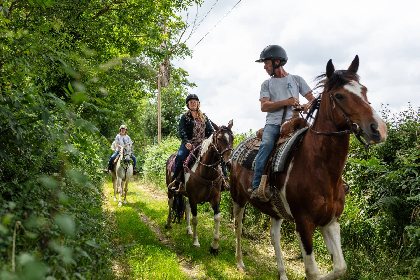 Balade à cheval - Ranch du Lévézou -  Maison d'hôtes Coeur de Bastié , Ranch du Lévézou - Hervé Leclair - Algodia