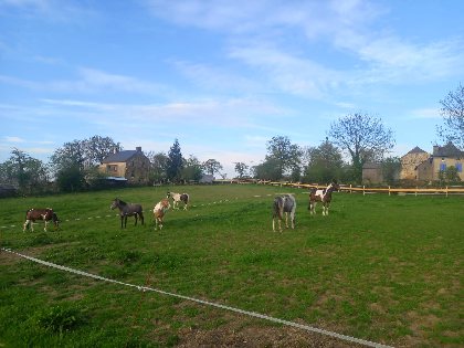 Ranch du Lévézou -  Maison d'hôtes Coeur de Bastié , ranch du levezou