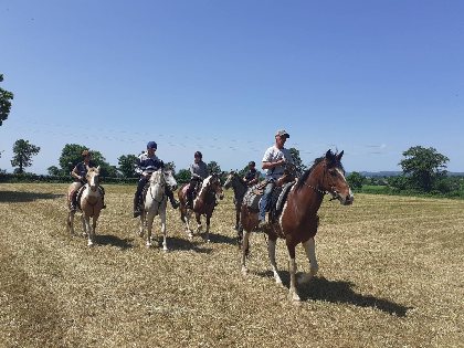 Ranch du Lévézou -  Maison d'hôtes Coeur de Bastié , ranch du levezou