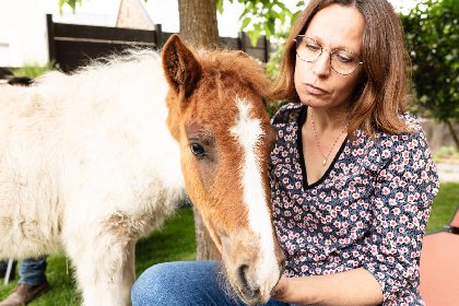 Nuage - Tourisme équestre - Ranch du Lévézou -  Maison d'hôtes Coeur de Bastié , Ranch du Lévézou - Hervé Leclair - Algodia
