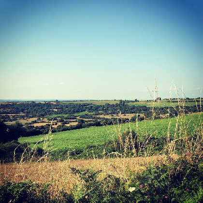 Les gîtes de Tapiès, Les Buis